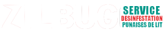 ZILBUG LOGO Service 02 BLANC